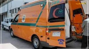 واقعة مؤسفة في أسوان.. مصرع شخص وإصابة 5 آخرين إثر حادث سير مروع 2